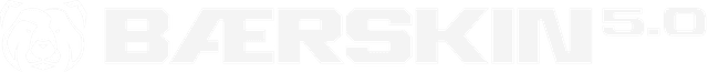 baerskin-5-logo-white.png